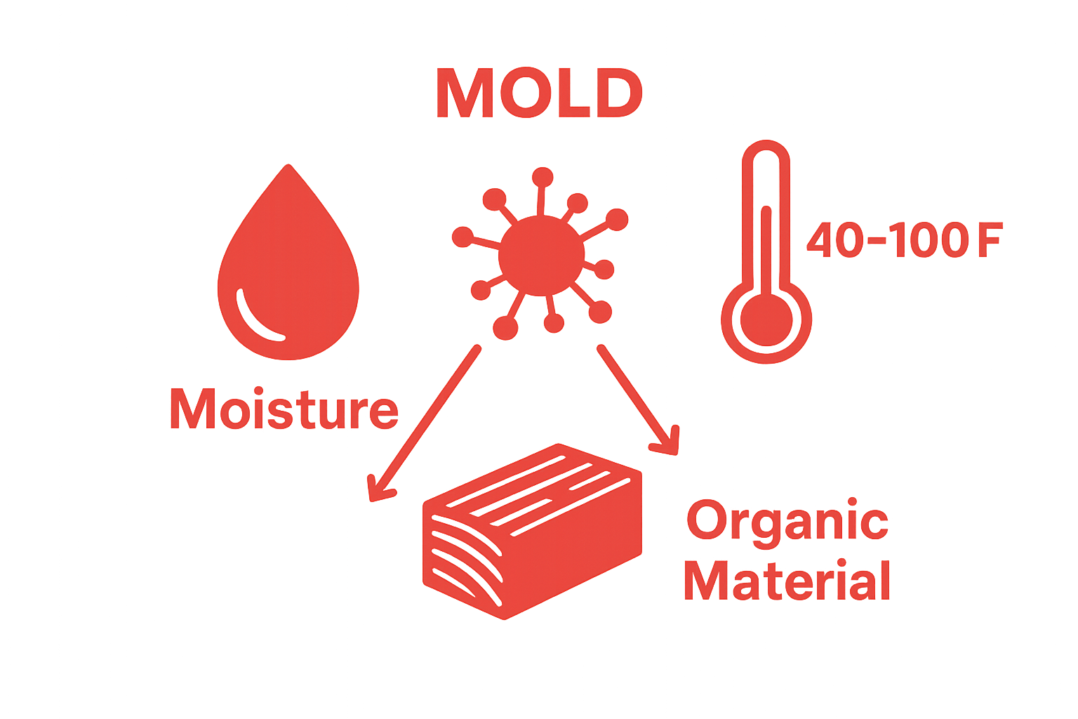 Infographic showing fundamentals for mold growth: moisture, temperature, organic material