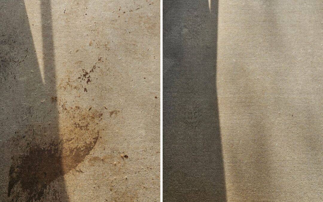 Pet Stains and Odors on Carpet: Why DIY Falls Short