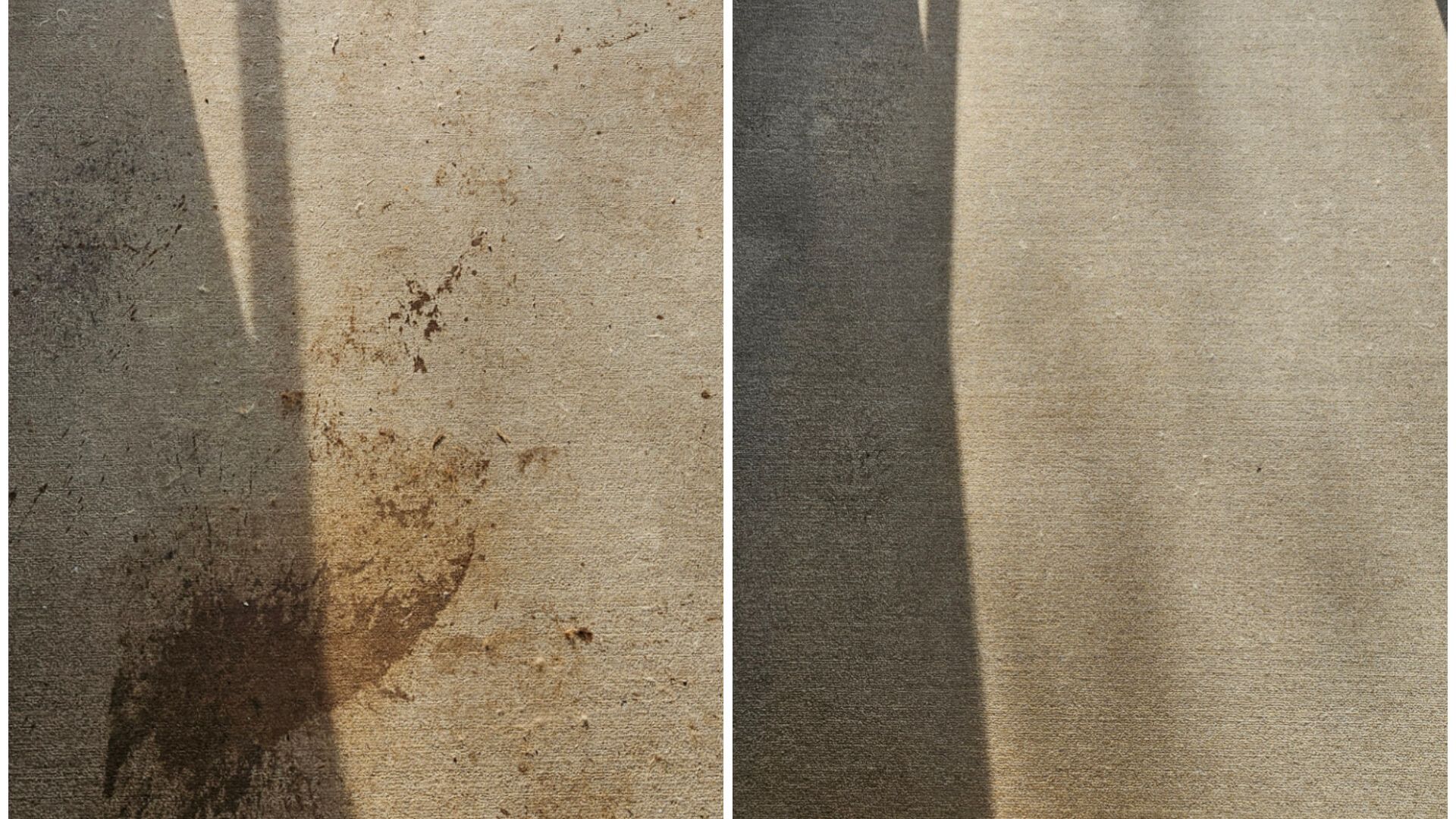 Carpet Stain Removal Massachusetts