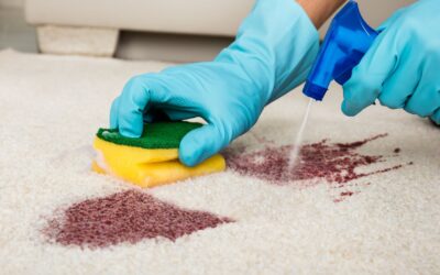 8 Essential Carpet Maintenance Tips for 2025