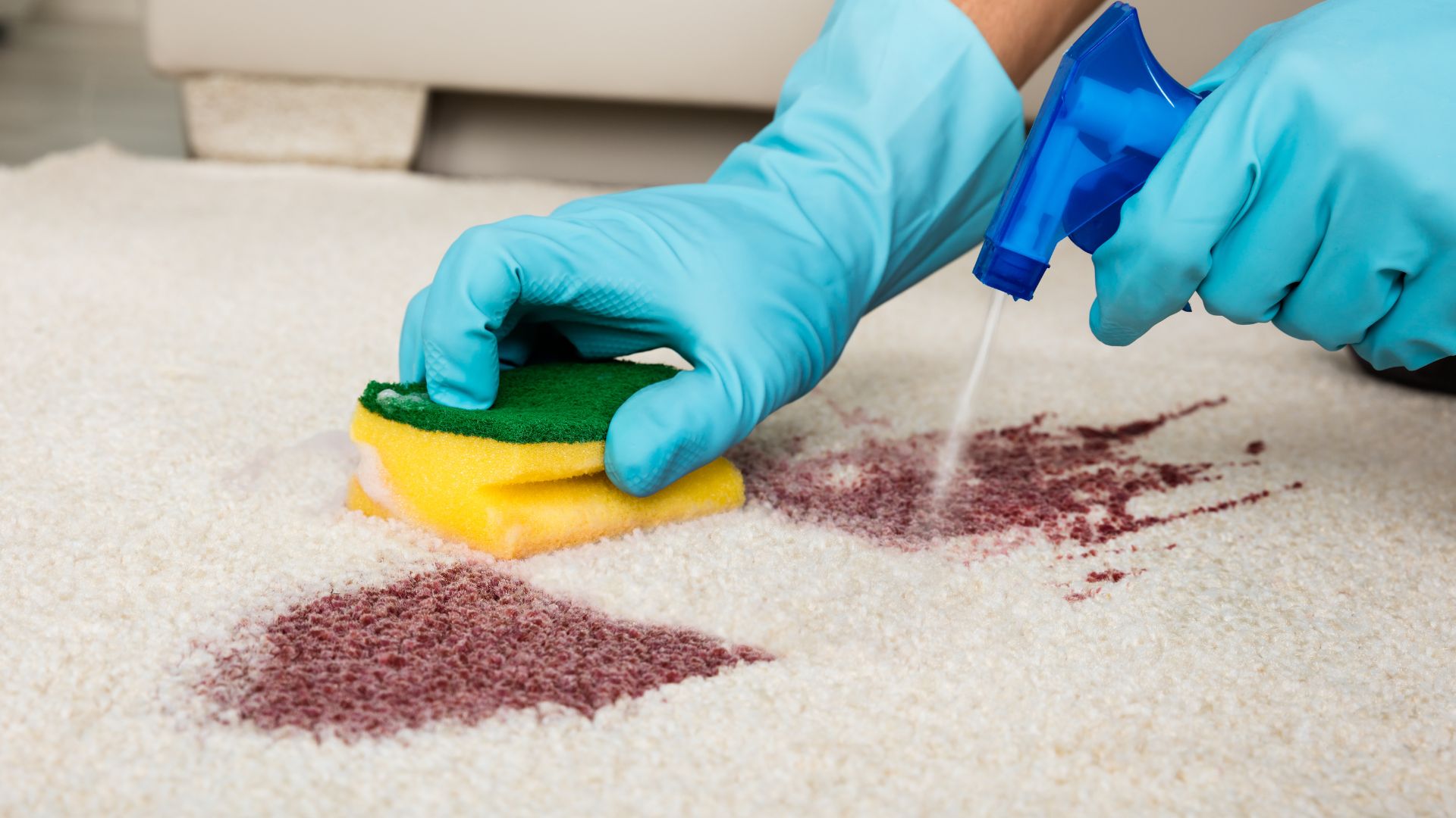 Carpet Stain Removal Massachusetts