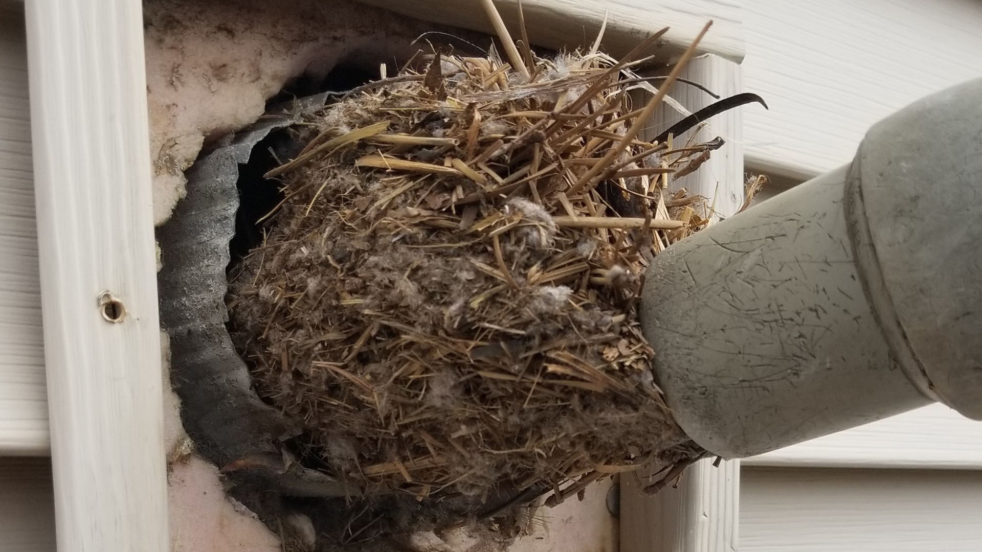 Dryer Vent Cleaning Massachusetts Dryer Vent Cleaning Massachusetts
