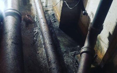 The Role of Rapid Response Restoration Explained