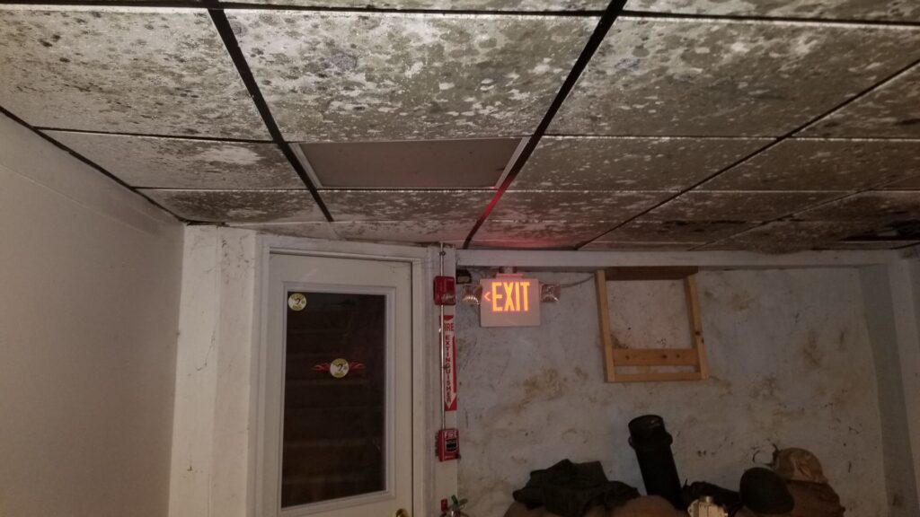 why hire restoration services