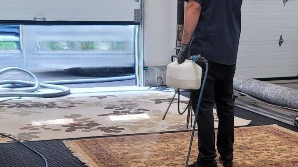 Pet odor removal from rugs in Massachusetts