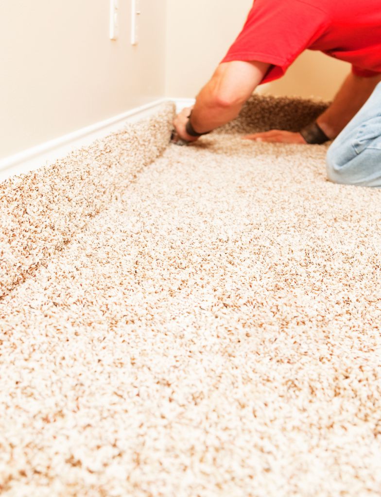 Professional Carpet Installation Professional Carpet Installation