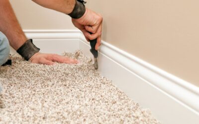 Carpet for Homes: Comfort, Health, and Value