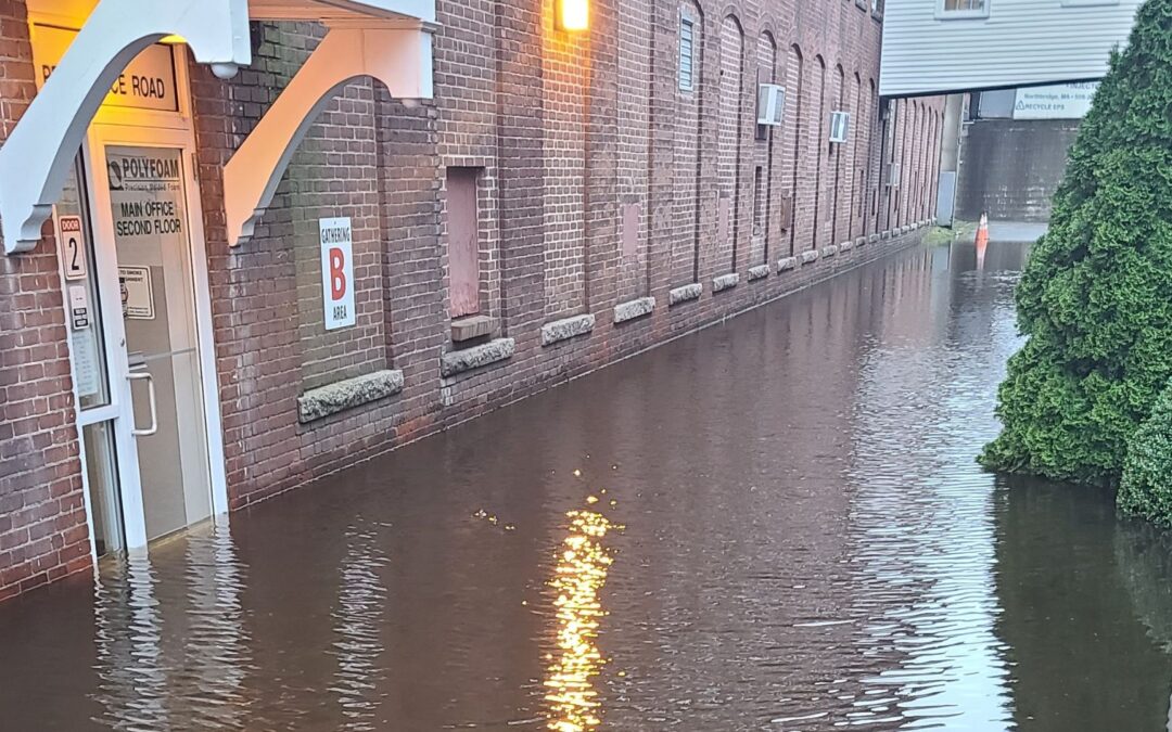 What Is Water Damage Restoration? Complete Overview