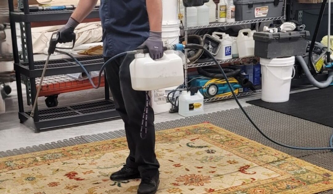 Understanding Area Rug Cleaning Importance for Homes