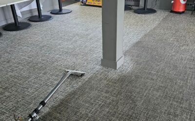 Professional Spring Cleaning: Transform Homes and Businesses Fast