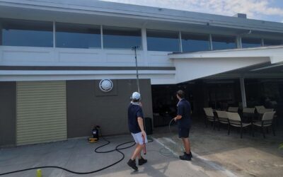 7 Essential Window Cleaning Tips for Homes and Businesses