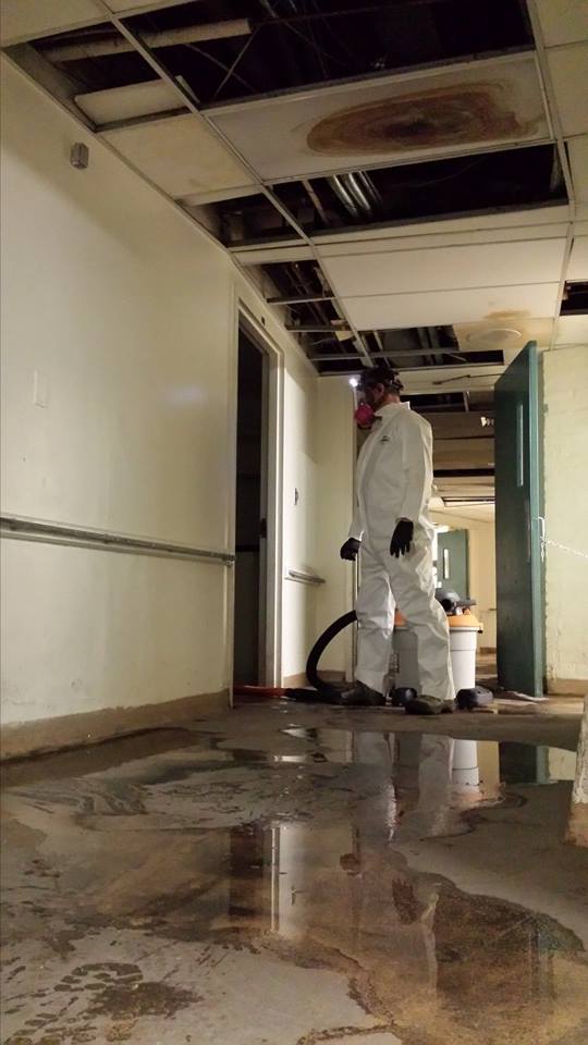 mold remediation guide for New England