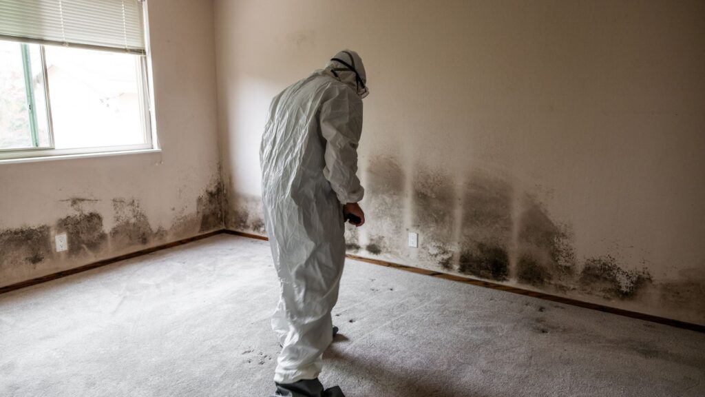 mold remediation in Massachusetts