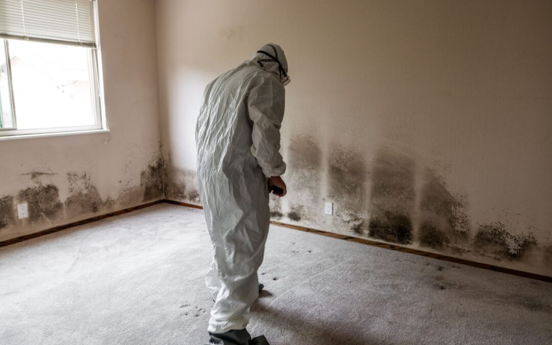 Understanding the Mold Remediation Guide for New England