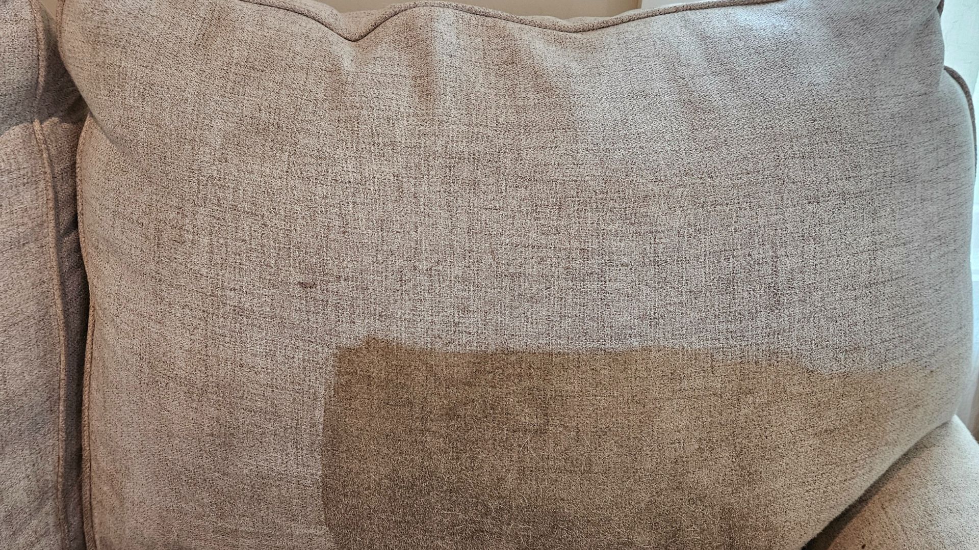 sofa cleaning Massachusetts