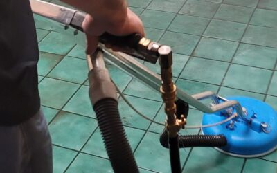 Tile and Grout Cleaning Guide: Complete Expert Resource