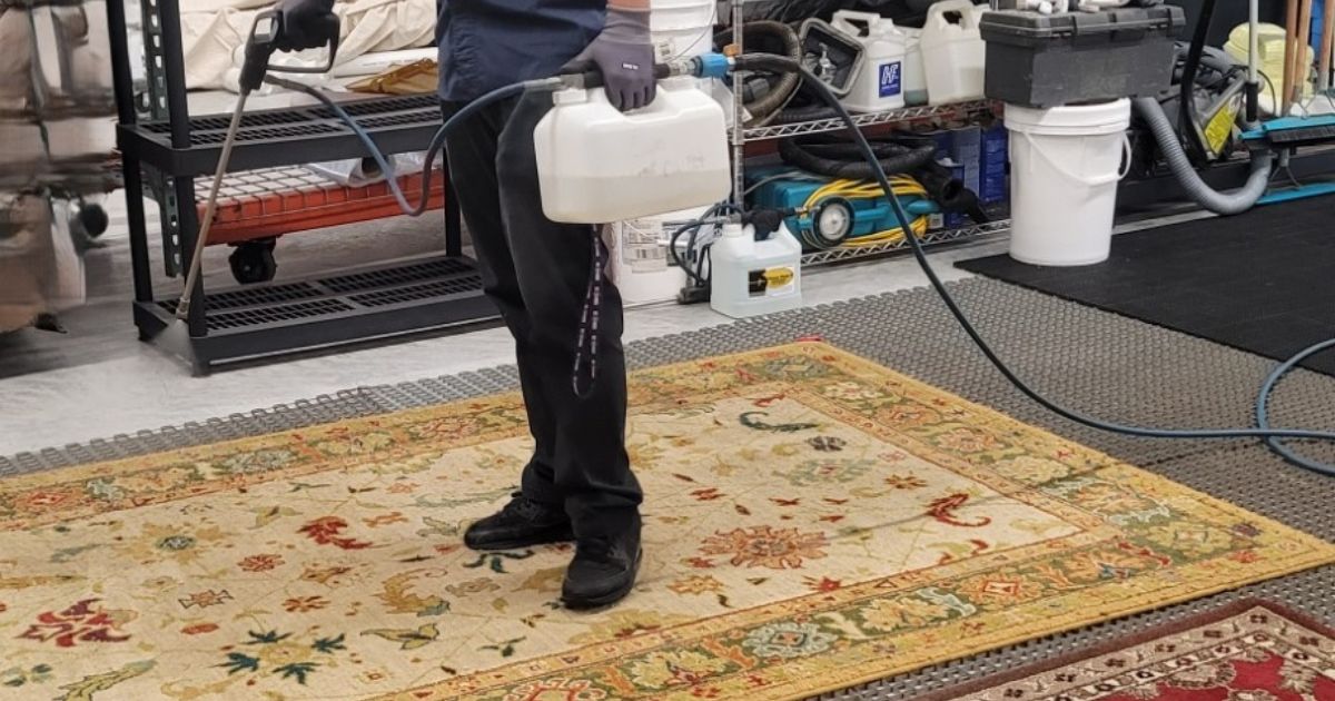 why should I clean my area rugs